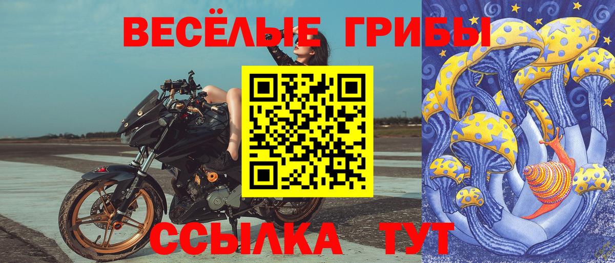 Кольчугино  Галлюциногенные грибы ЛСД  Вход с VPN 