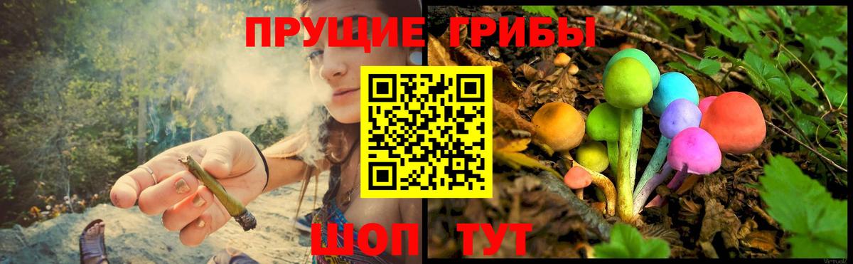 Галлюциногенные грибы GOLDEN TEACHER Кольчугино