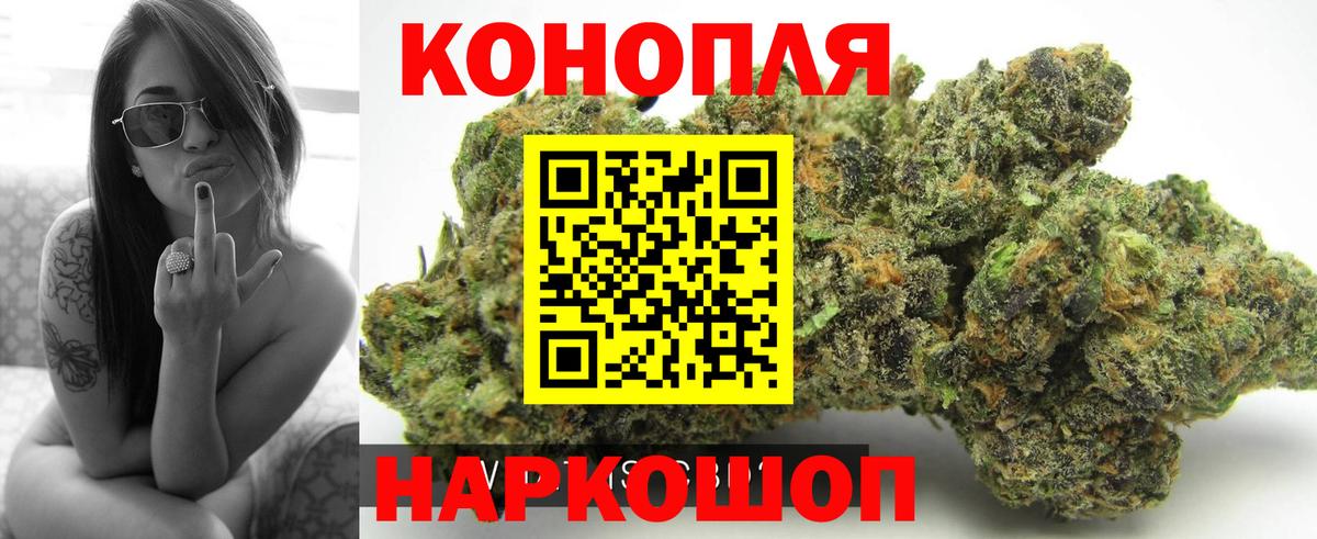 Конопля Ganja Кольчугино
